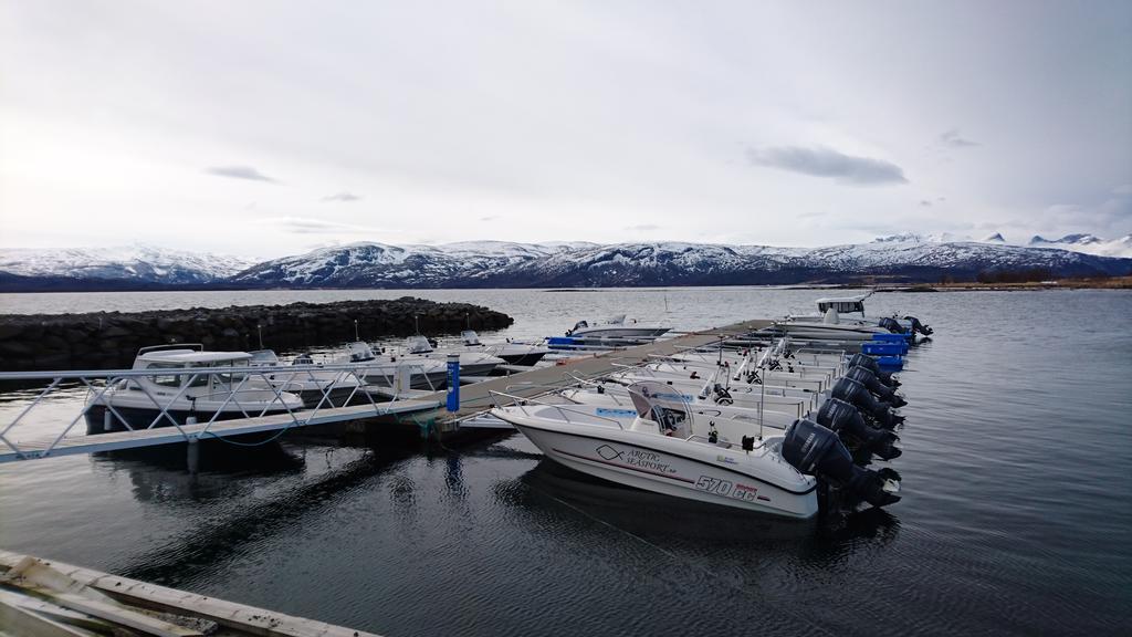 Arctic Seasport Løding Exterior foto
